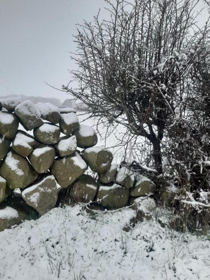 Ballykeel Farm, Mourne Mountains Ballymartin Luaran gambar